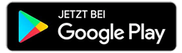 Google Store